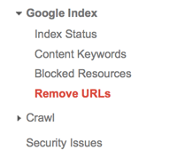 Google Webmaster Remove URLs