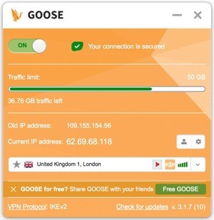 Goose VPN interface