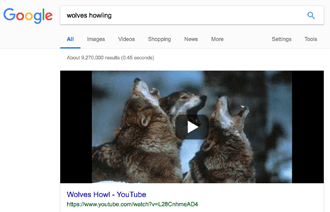 Wolves Howling YouTube