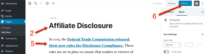 Affiliate Disclosure Publish