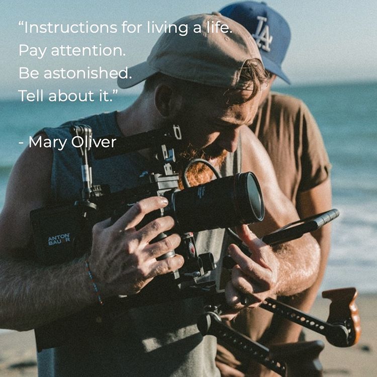 "Instructions for living a life; Pay attention. Be astonished. Tell about it." (Mary Oliver) 