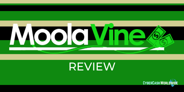MoolaVine Review