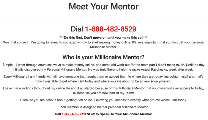 Meet Your Mentor