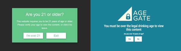 WordPress Responsive Age Restriction and Age Gate