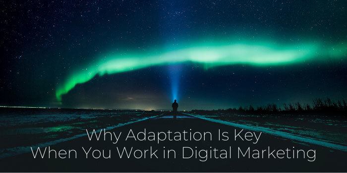 Why Adaptation Is Key When You Work in Digital Marketing