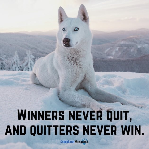 Winners never quit, and quitters never win.