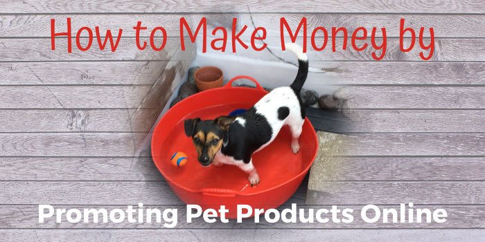 How to Make Money by Promoting Pet Products Online