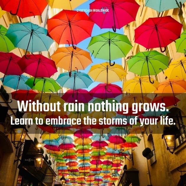 Without rain nothing grows. Learn to embrace the storms of your life.