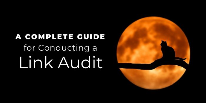 A Complete Guide for Conducting a Link Audit