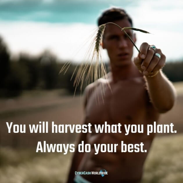 You will harvest what you plant. Always do your best. 