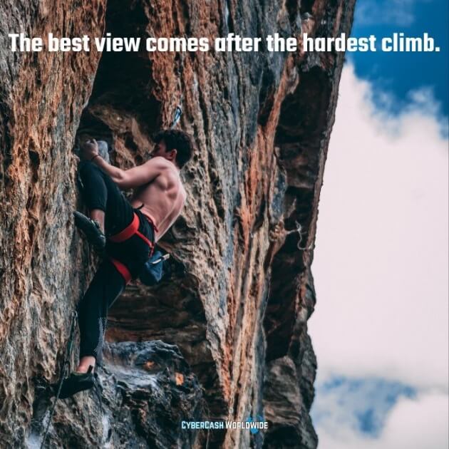 The best view comes after the hardest climb. 