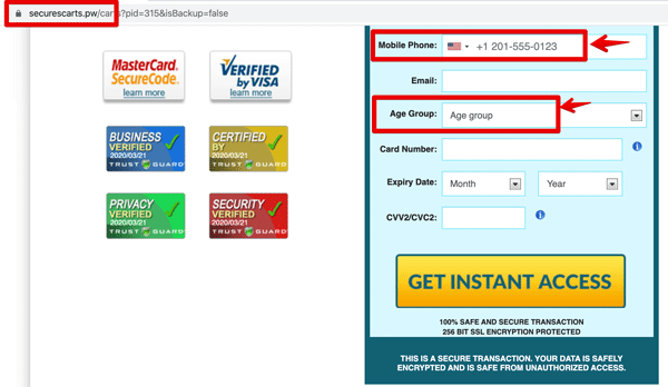 Securescarts Payment form