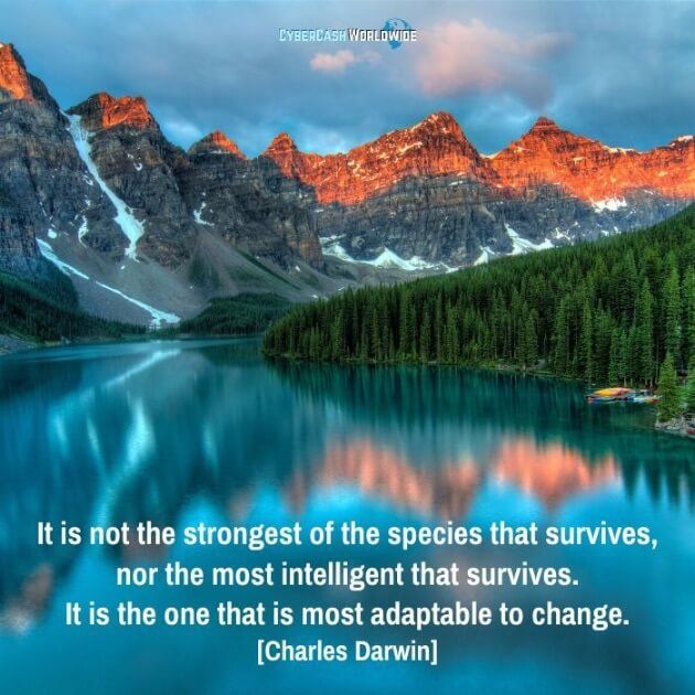 It's not the strongest of the species that survives, nor the most intelligent that survives. It is the one that is most adaptable to change. [Charles Darwin]