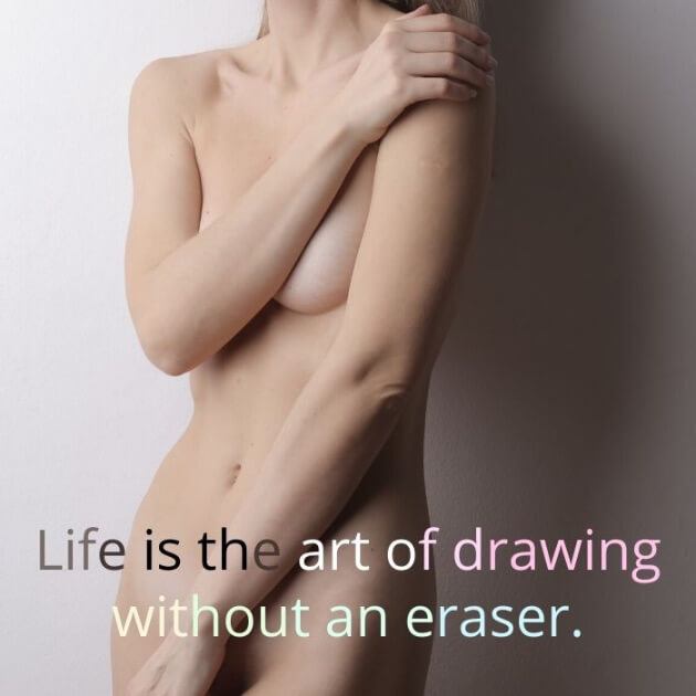 Life is the art of drawing without an eraser.