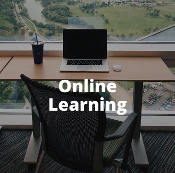 Online Learning