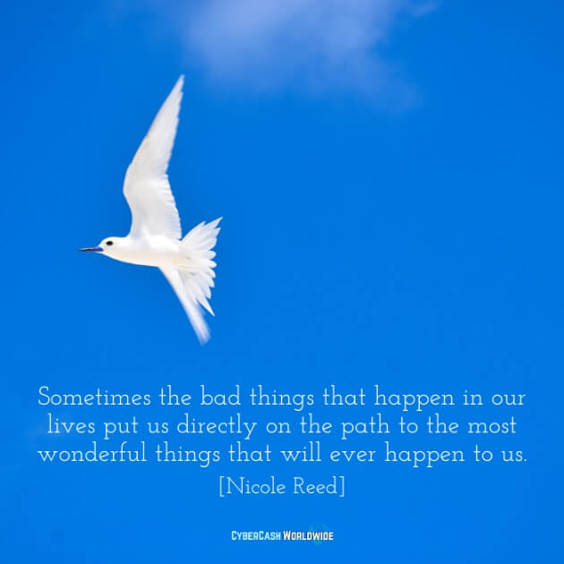 Sometimes the bad things that happen in our lives put us directly on the path to the most wonderful things that will ever happen to us. [Nicole Reed]