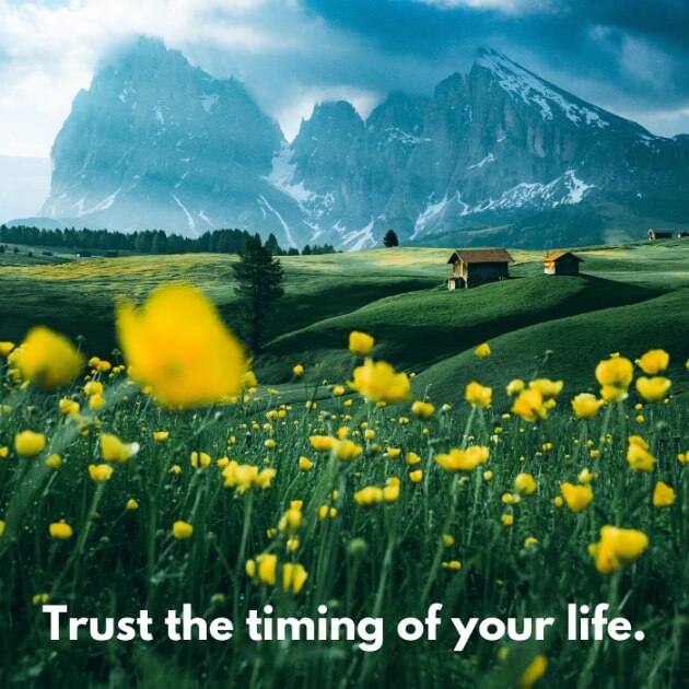 Trust the timing of your life.