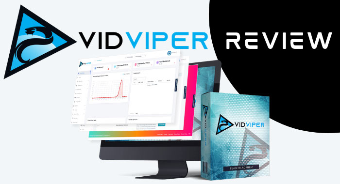 VidViper Review