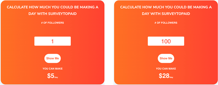 SurveyToPaid Fake Income Projection