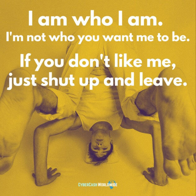 I am who I am. I'm not who you want to be. If you don't like me, just shut up and leave.