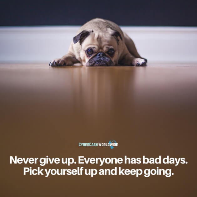 Never give up. Everyone has bad days. Pick yourself up and keep going.