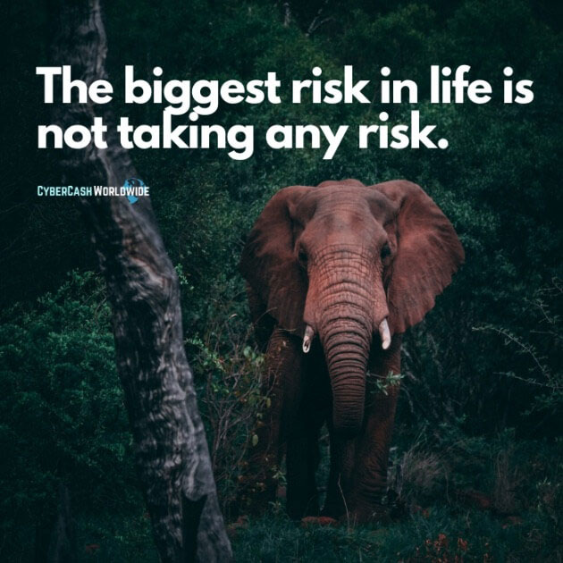 The biggest risk in life is not taking any risk.