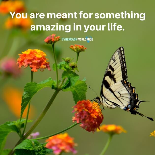 You are meant for something amazing in your life.