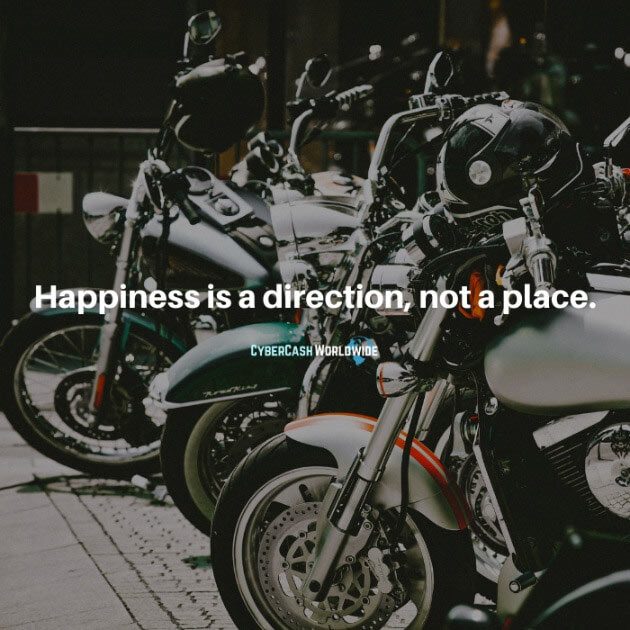 Happiness is a direction, not a place.