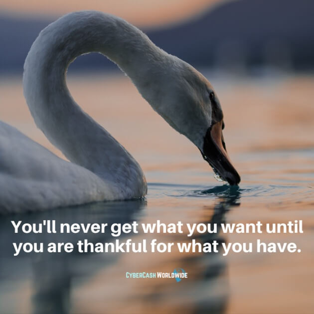 You'll never get what you want until you are thankful for what you have.