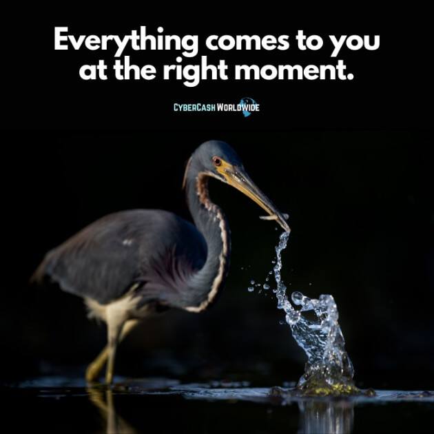 Everything comes to you at the right moment.