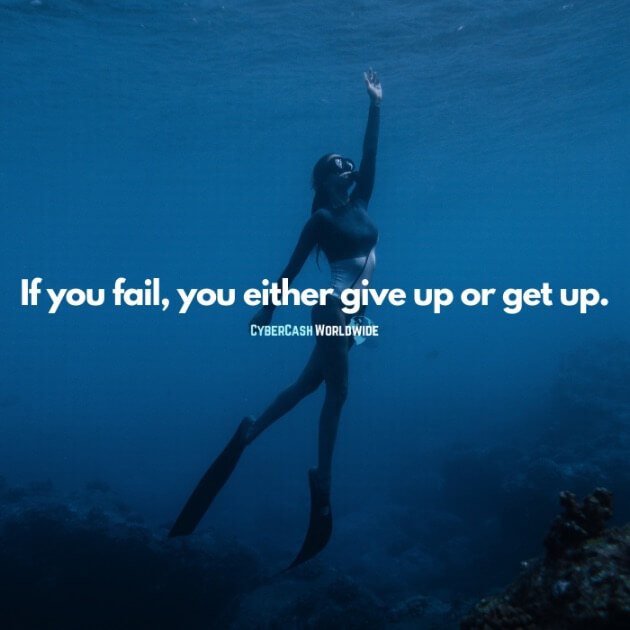 If you fail, you either give up or get up.