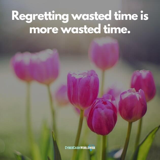 Regretting wasted time is more wasted time.