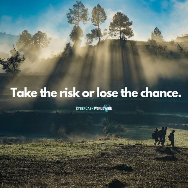 Take the risk or lose the chance.