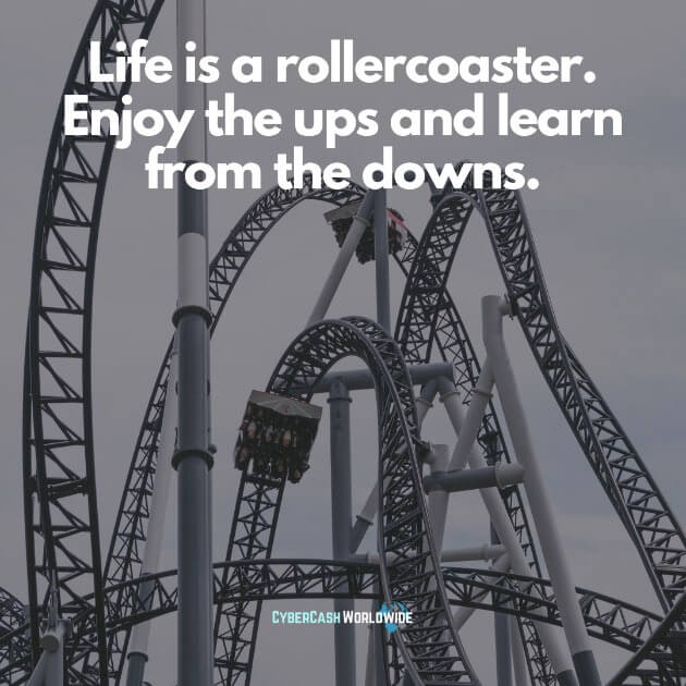 Life is a rollercoaster. Enjoy the ups and learn from the downs.