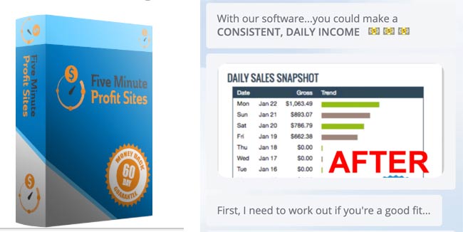 Can you make money with Five Minutes Profit Sites?