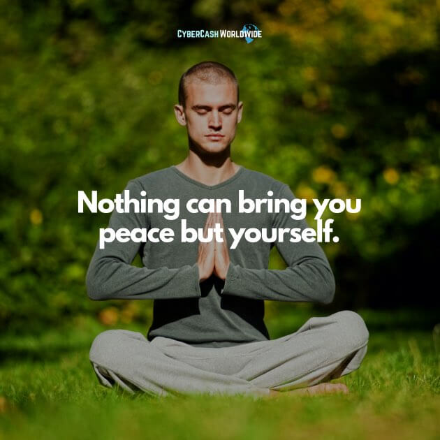 Nothing can bring you peace but yourself.