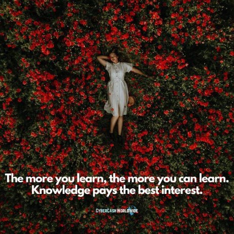 The more you learn, the more you can learn. Knowledge pays the best interest.