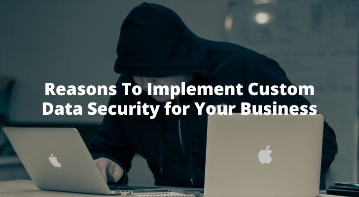 Reasons To Implement Custom Data Security for Your Business