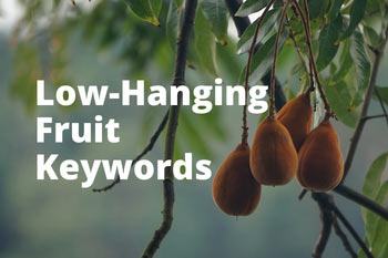 Low-Hanging Fruit Keywords