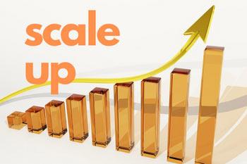 Start Earning Small Then Scale Up