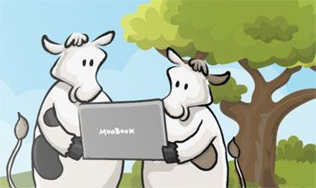 Website backup FatCow