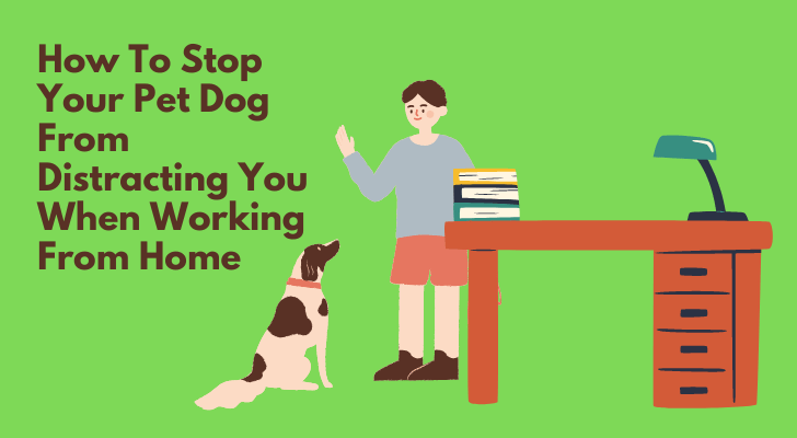 How To Stop Your Pet Dog From Distracting You When Working From Home