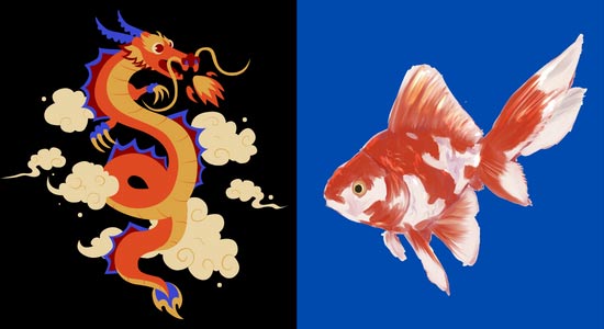 Dragon Goldfish Feng Shui