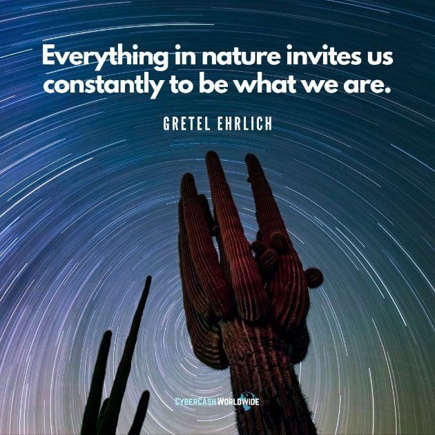 Everything in nature invites us constantly to be what we are. [Gretel Ehrlich]
