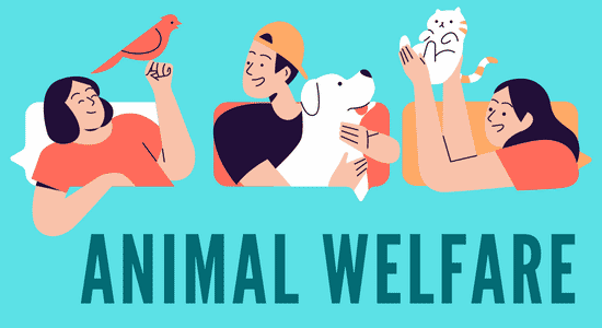 animal welfare