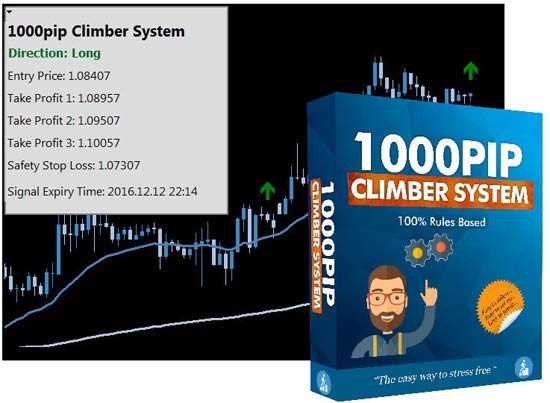 100 percent rule based Forex