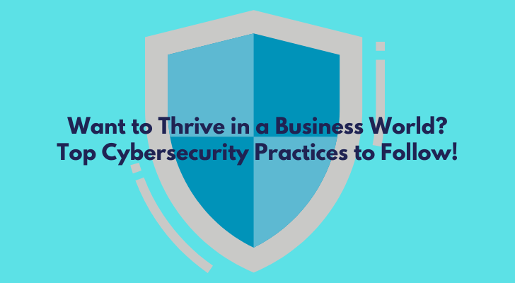 Want to Thrive in a Business World? Top Cybersecurity Practices to Follow!