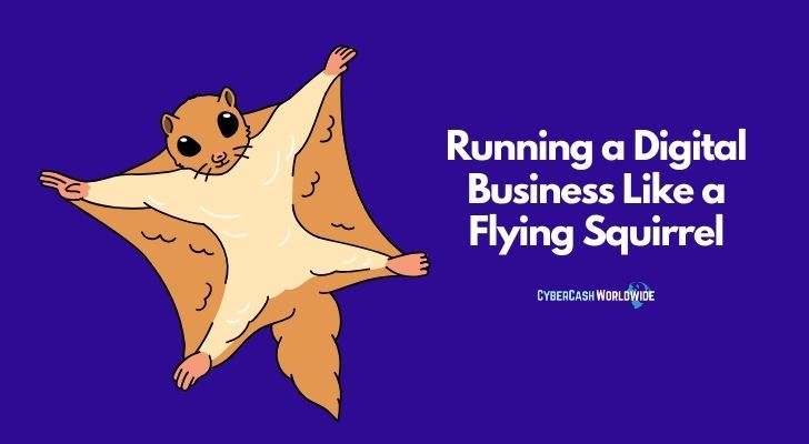 Running a Digital Business Like a Flying Squirrel