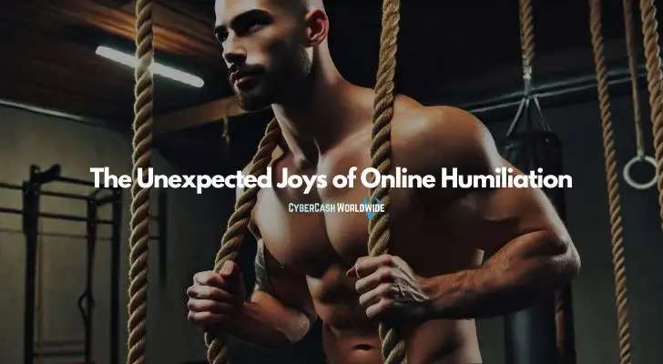 The Unexpected Joys of Online Humiliation