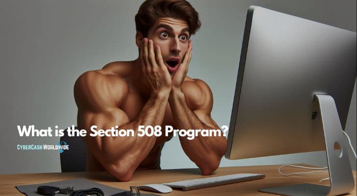 What is the Section 508 Program?